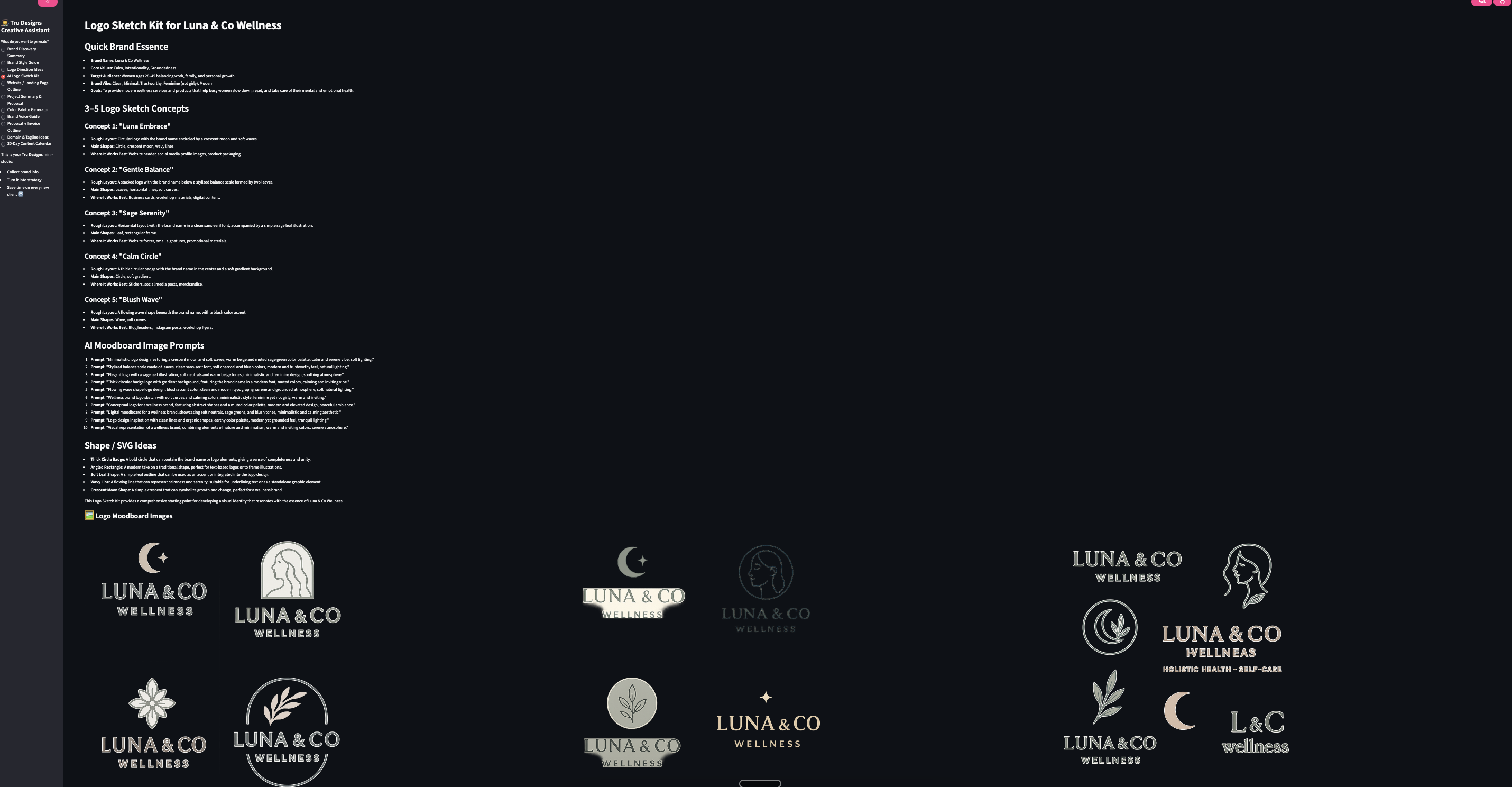 Logo concept and direction output